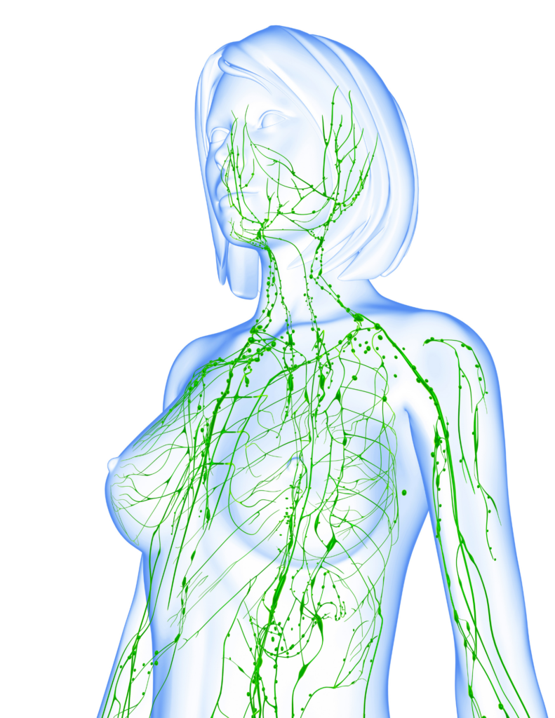 lymphdrainage entwässerung körper zürich